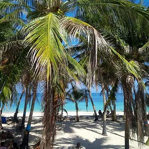 Zippy's Sea View Apartamento San Andrés